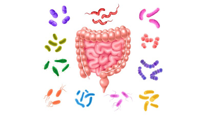 Helicobacter Pylori Infection: Symptoms, Diagnosis And Treatment Options 